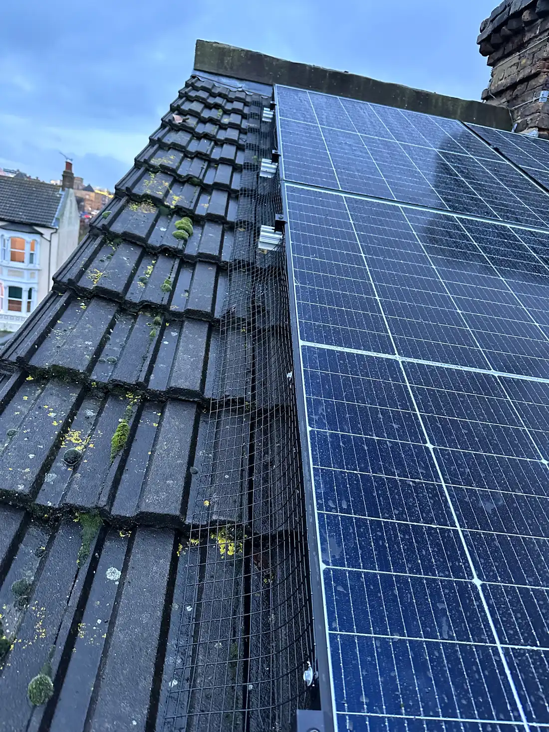 Close-up of bird-proofing mesh fitted around the edge of solar panels on a Southend-on-Sea roof